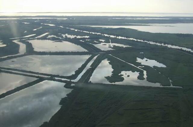 Lietuvos geologai: Nemuno delta skęsta