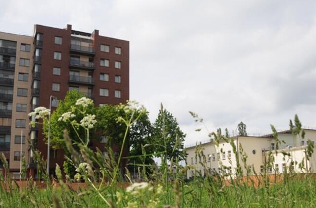 Per metus Klaipėdoje butai atpigo ketvirtadaliu