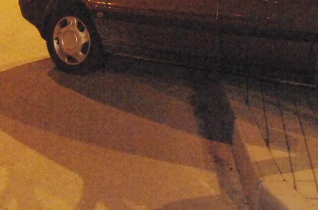 Pėstiesiems nesaugu net ant šaligatvio