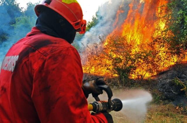 Portugalijoje liepsnoja miškai