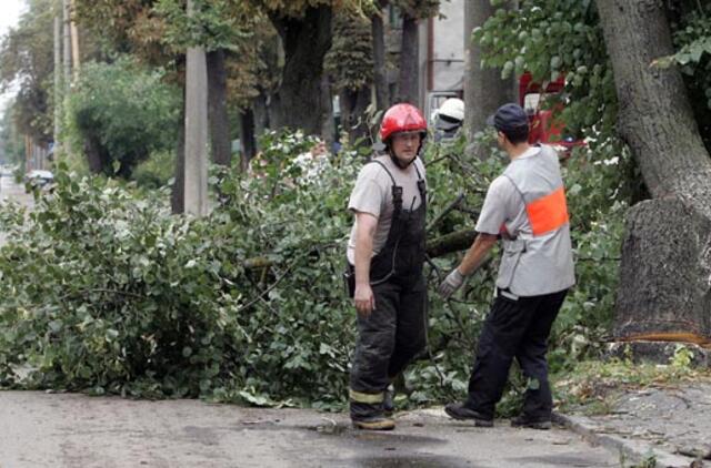 Prezidentė aplankys stichijos nusiaubtas vietas