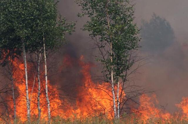 Radiacijos grėsmė padidino ir Lietuvos specialistų budrumą