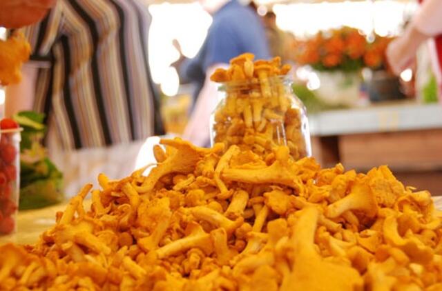 Saulėje įkaitę grybai gali būti pavojingi