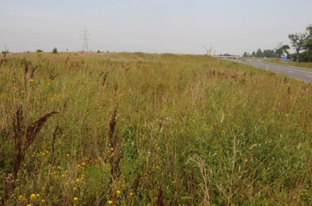 Šaulių kaimo plynės virs kvartalu