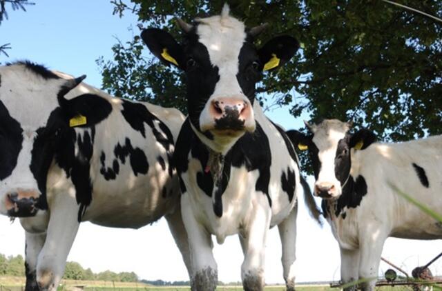 Supaprastintas paramos už pieną vaikams administravimas