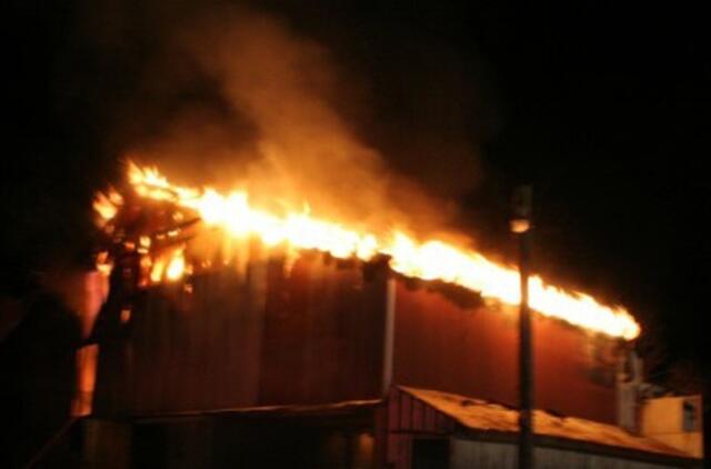 Vaikai sudegino pilną šieno daržinę