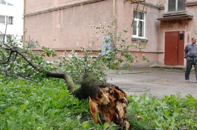 Vėjas gatves ir kiemus nuklojo medžių šakomis