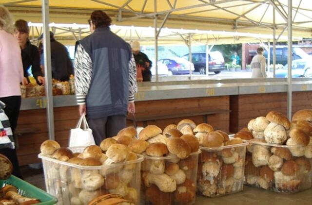 Ant turgaus prekystalių - kalnai grybų