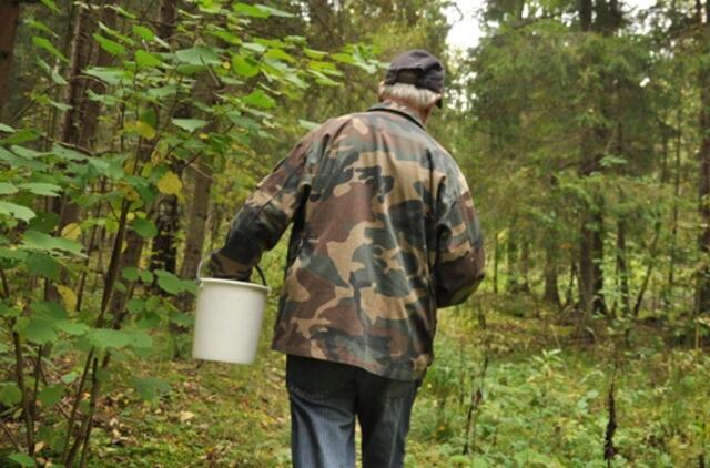 Erkės pavojingos iki pat vėlyvo rudens