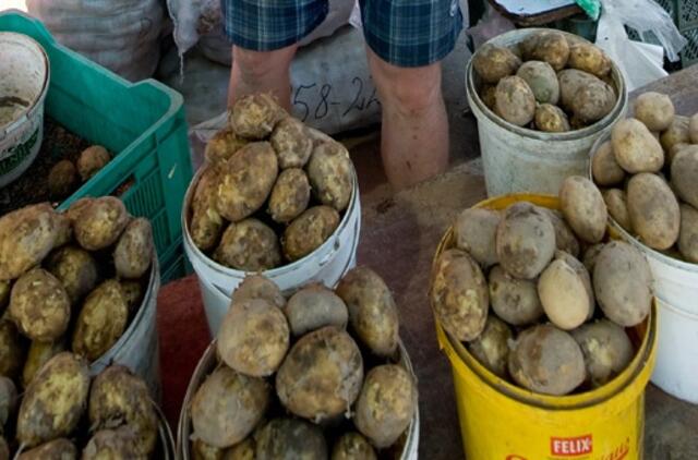 Kazys Starkevičius: žemės ūkio produktų kainas nepagrįstai kelia perdirbėjai ir prekybininkai