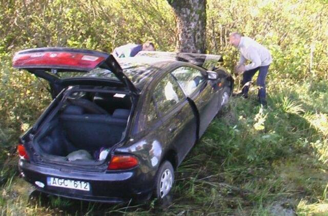 Kelyje neišsitekusį automobilį sustabdė medis