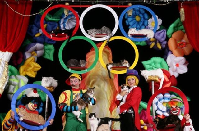 Klaipėdoje - "Katinėlių olimpiada"