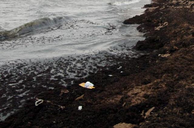 Palangos pajūryje -  neregėta gausybė dumblių