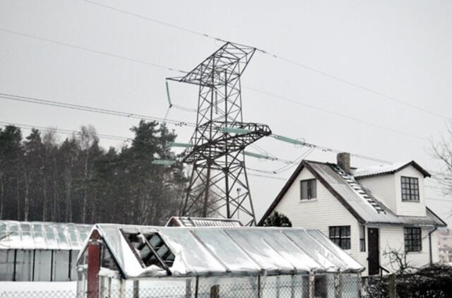 Prašymus išpirkti elektros tinklus sodininkai galės teikti ir kitąmet