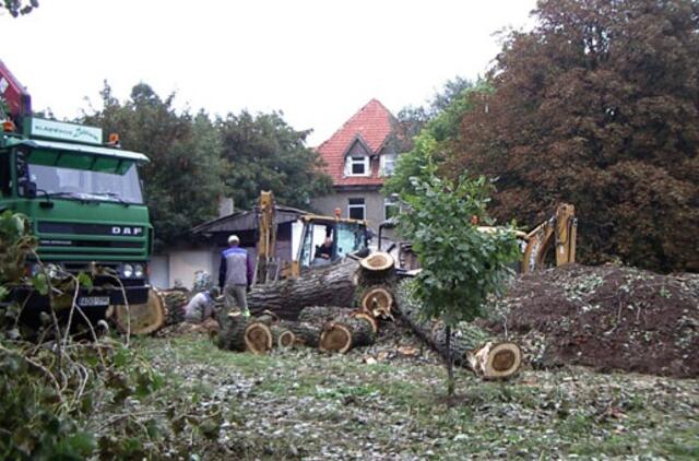 Tuopos nukirtimas Liepų gatvėje papiktino gyventojus