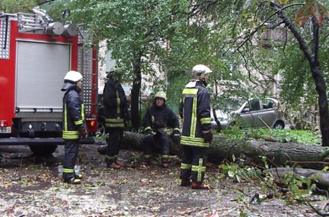 Vėjo nugriautas medis atvėrė problemas