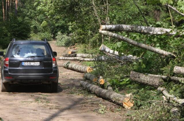 Vėtros nusiaubtuose miškuose - įspėjamieji ženklai bei policijos reidai