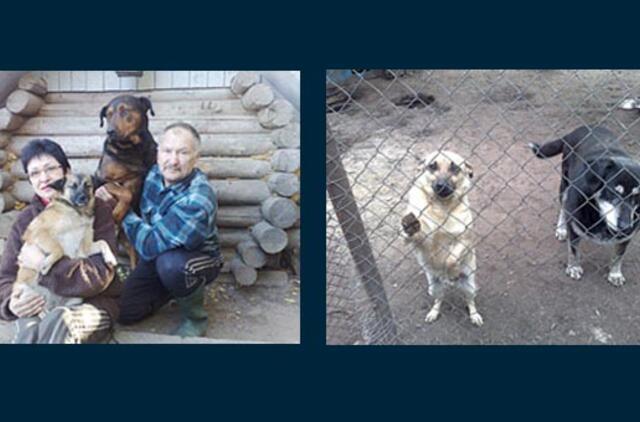 Buvusi darbovietė tapo šunų namais