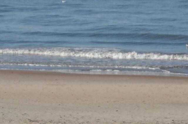 Jūroje - neatpažinto skenduolio kūnas