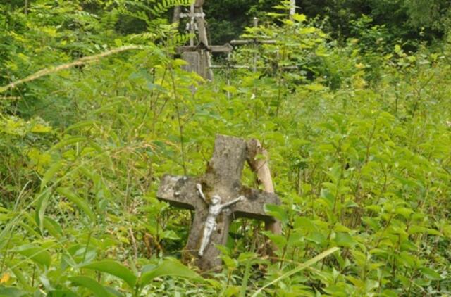 Kapavietėje galima sodinti net obelis