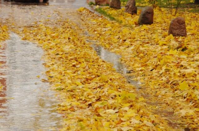 Klaipėda: VE.lt pristato spalio 23 dienos įvykius