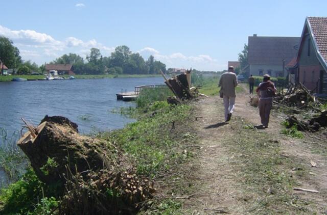 Mingės tragedija: teismas imasi medkirčių bylos