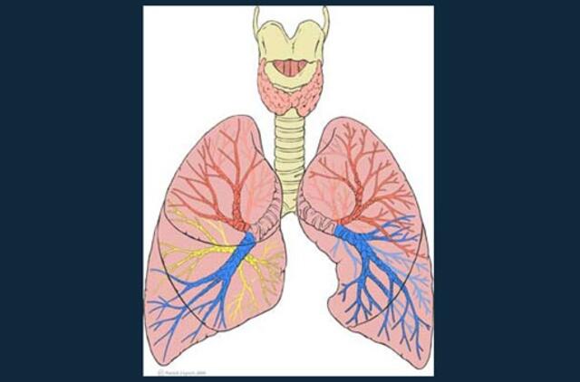 Pasaulinės spirometrijos dieną Klaipėdoje bus nemokamai atliekami plaučių tyrimai