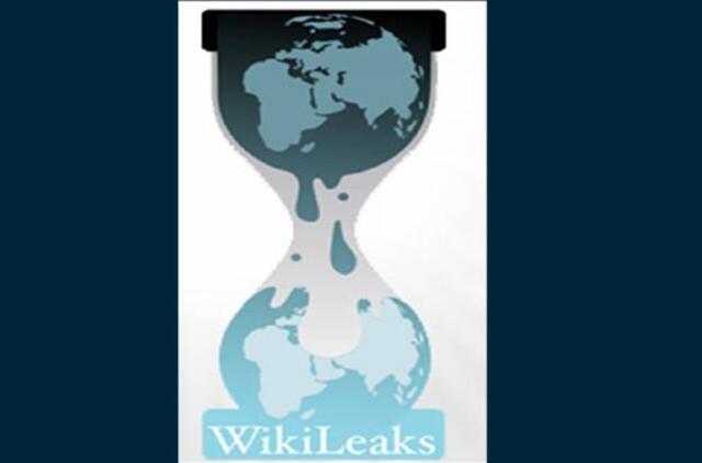 Pentagonas rengiasi naujai tinklalapio "Wikileaks" atakai