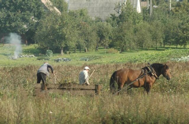 Savivaldybėms – per 45 mln. litų žemės mokesčio