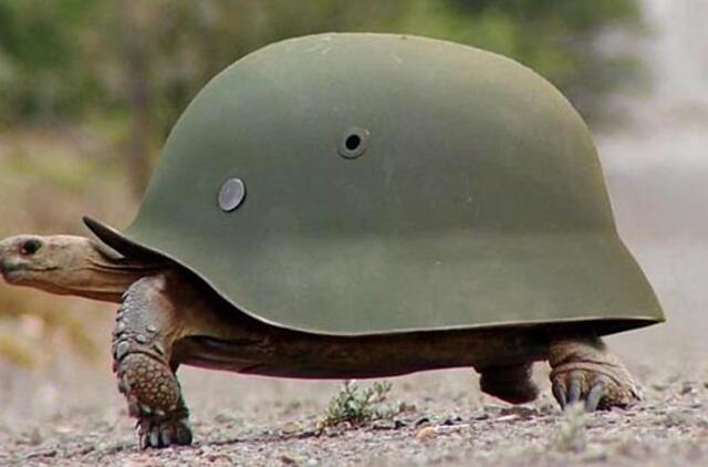 Bulvaras: tikėk - netikėk