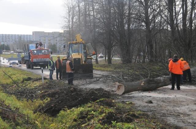 Eismo saugumas pareikalavo paaukoti medžius