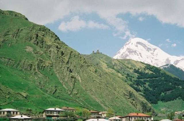 Gruzija nori atkurti savo žemės ūkį su būrų iš Afrikos pagalba