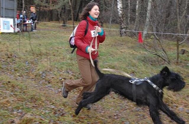Kaip gyventi šią savaitę (11.15 -11.22)