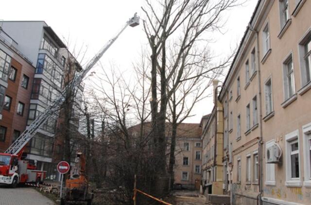 Klaipėda: VE.lt pristato lapkričio 23 dienos įvykius