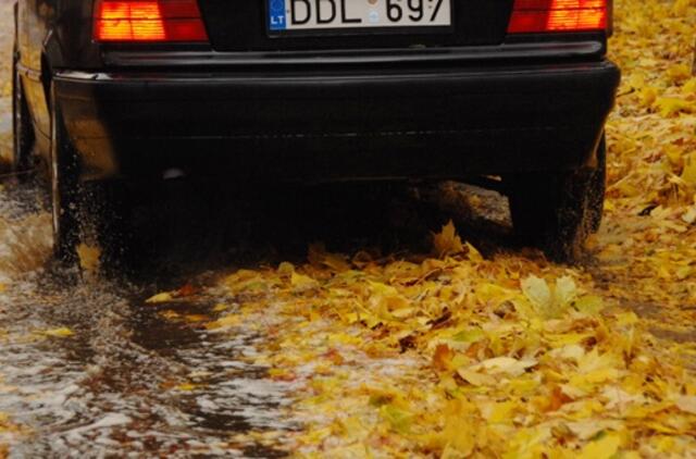 Lietingi orai trukdo vaduoti Klaipėdą nuo lapų