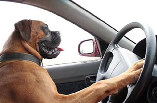 Pavojingi ne tik ereliai