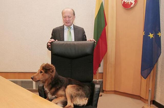 Premjeras laikinai sužvėrėjo