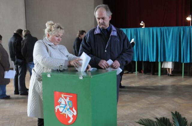 Rinkti Seimo narius siūloma tik vienmandatėse apygardose