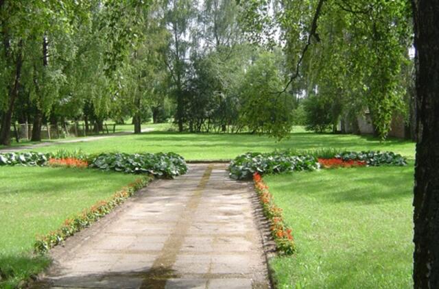 Šilutės visuomenininkai nori atsodinti mieste iškirstus medžius