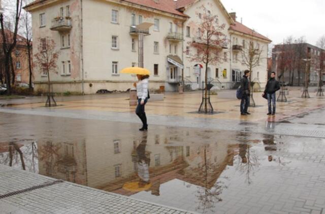 Valdžia imsis skęstančios M. Mažvydo alėjos