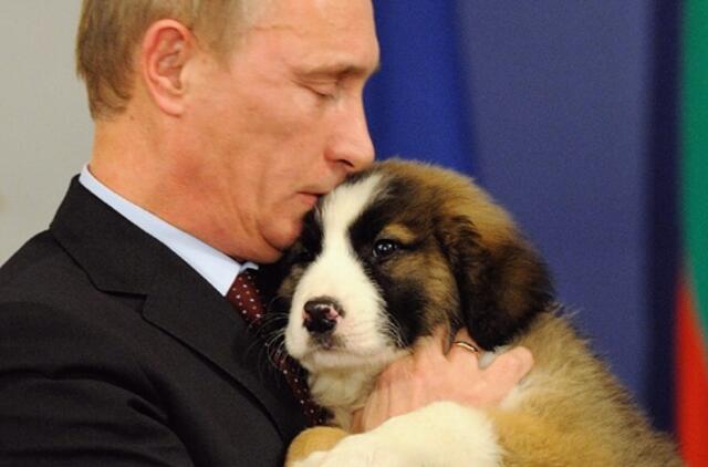 Visa Rusija renka vardą premjero Vladimiro Putino šunyčiui