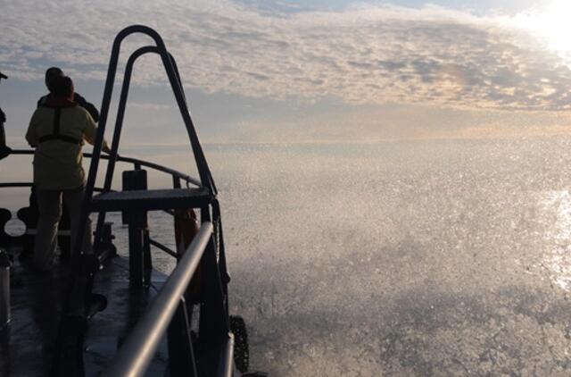 Žvejyba Baltijoje: visų silkių neišgaudysime