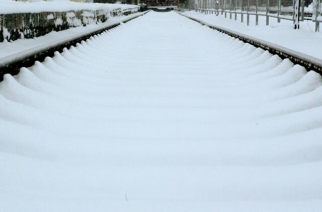 Ant geležinkelio bėgių žuvo žmogus