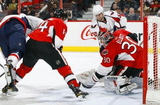 "Capitals" grįžo į pergalių kelią