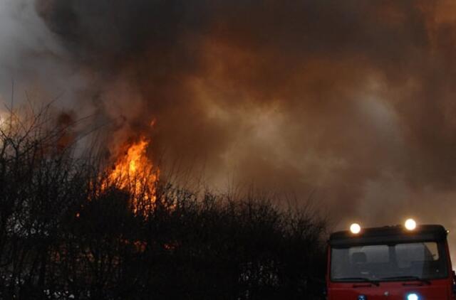 Per dieną gaisruose žuvo du, nukentėjo vienas žmogus