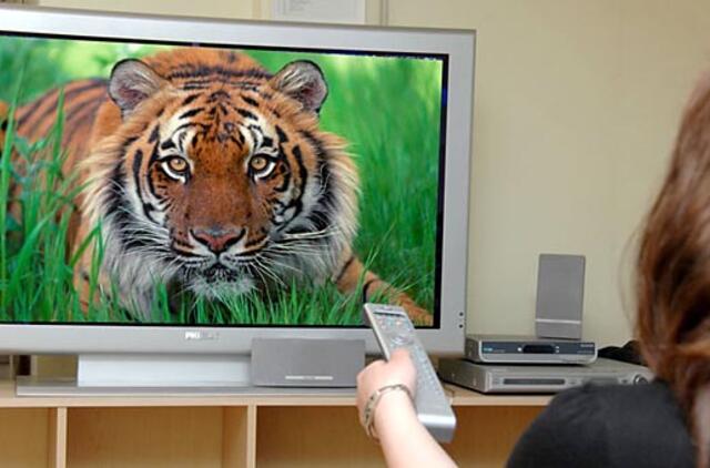 Ryškiausi Tigro metų eterio kadrai