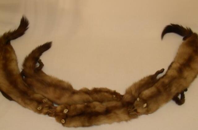 Sumušė sargą ir pavogė audinių kailius