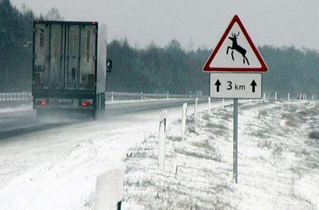 Vairuotojams: didesnėje Lietuvos dalyje pusto