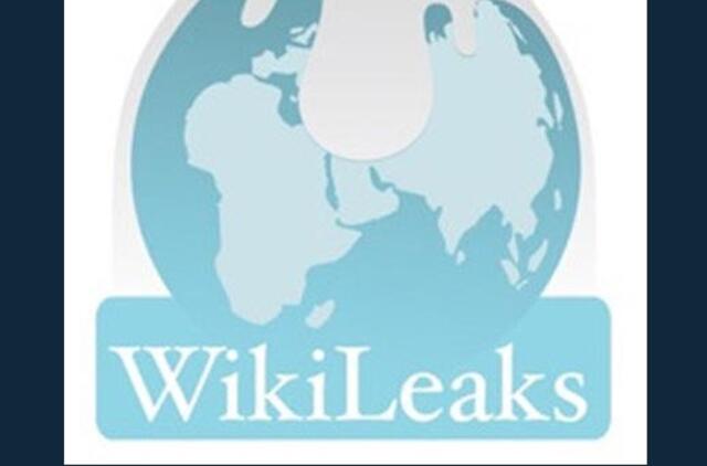 "WikiLeaks" paviešino JAV nacionaliniam saugumui svarbių pramonės objektų sąrašą
