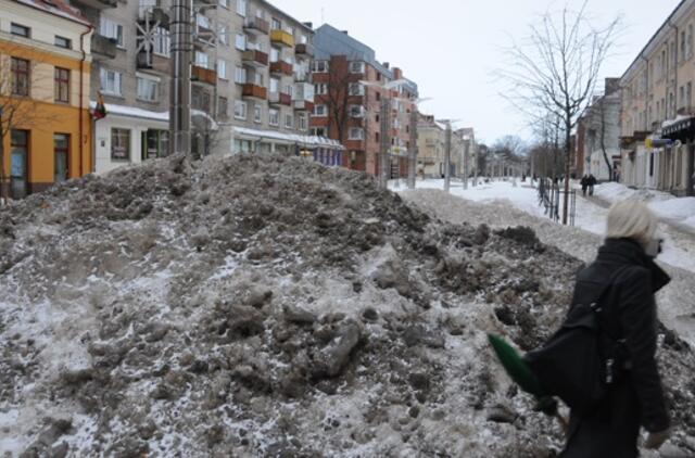 Klaipėda: VE.lt pristato sausio 15-osios įvykius